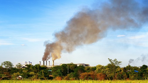 Így lehet energiatakarékos az életmódod