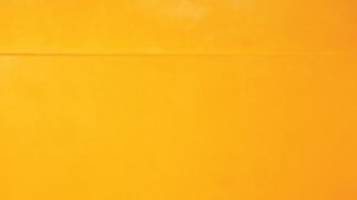 Cipőreklámot lopott Terry Richardson