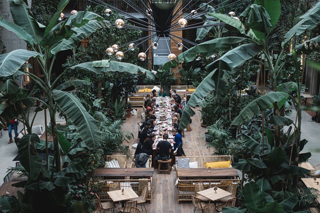 Őserdő nyílt a belvárosban: 500 növény között szürcsölheted el kedvenc koktélodat