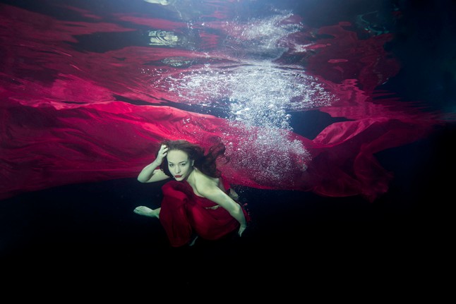 Csíz és víz- Csodás fotók a felszín alatt