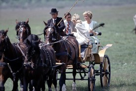 A hercegi párnál a Bugac Puszta ötös fogata nagy sikert aratott. 