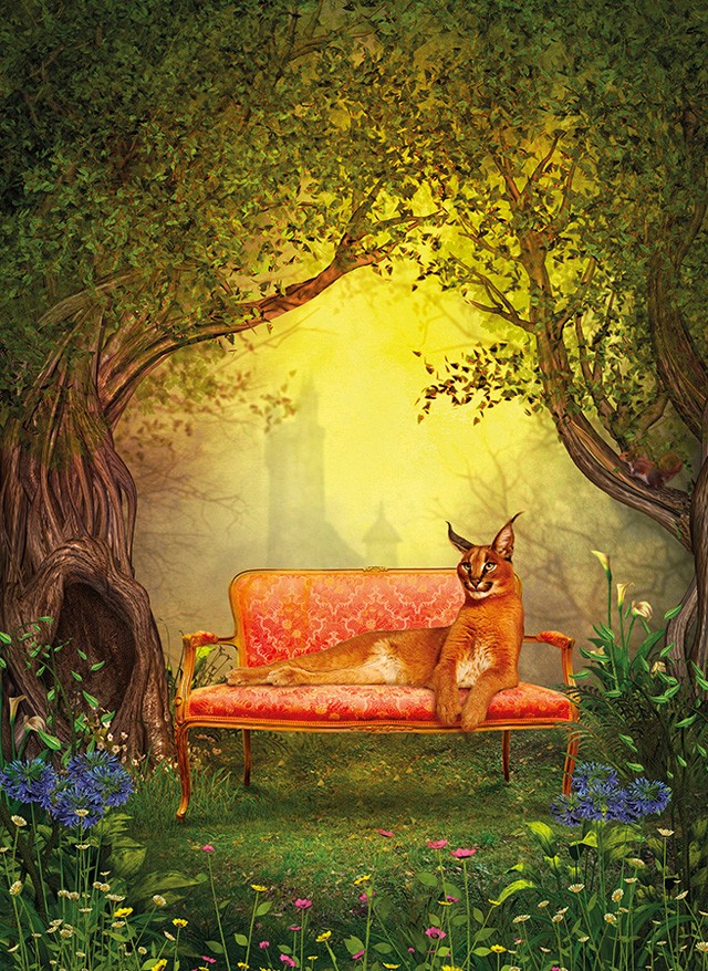 bűvös erdő kiállítás