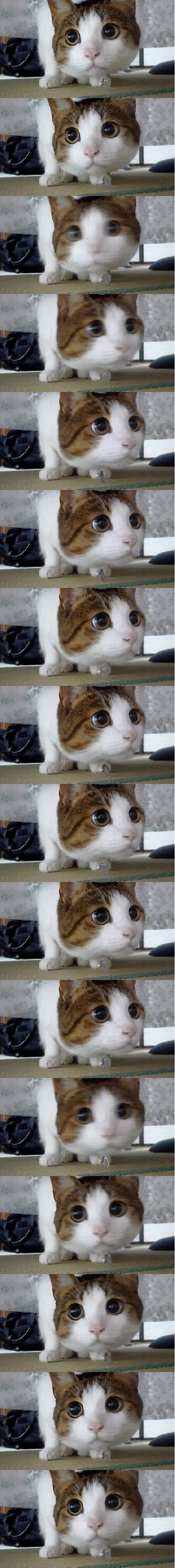 Ezek a legparanoiásabb csillagjegyek - te is köztük vagy?