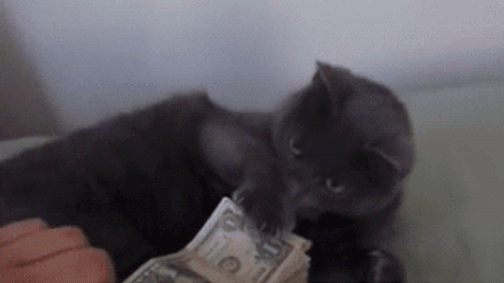 5 okos ötlet, hogy ne pénzügyi katasztrófával induljon a következő éved