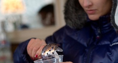 Spórolj, és közben kerülj adventi hangulatba!