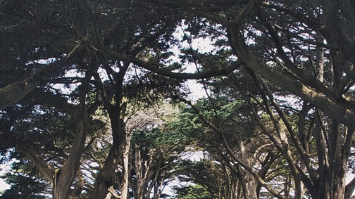 16 évesen körbeutazta a világot, 12 évesen regényt írt ez magyar származású csodalány!