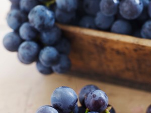 Vigyázz, kész, szőlőszüret!