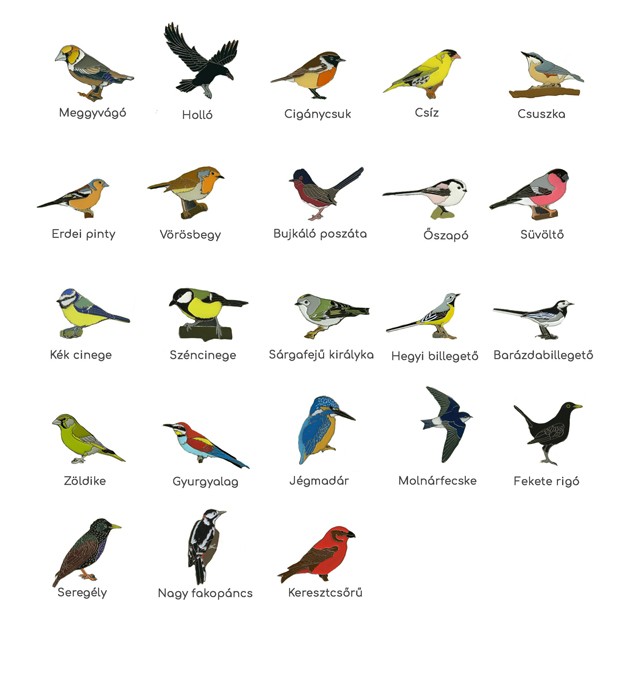 Tavaszi csicsergés - A legcukibb madaras dekorációk, amik nem hiányozhatnak lakásodból