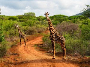 Afrika élménye most közelebb került a magyar utazókhoz