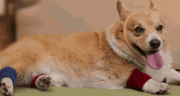 Kellemetlen szagú az edzőruhád? Itt a megoldás!