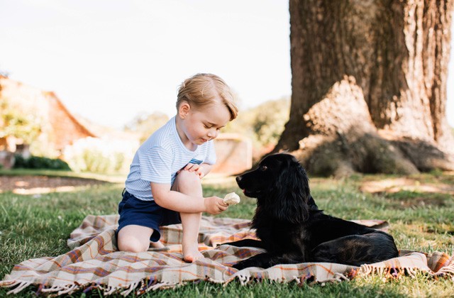 györgy herceg, fotók, herceg, angol királyi család, születésnap, új képek