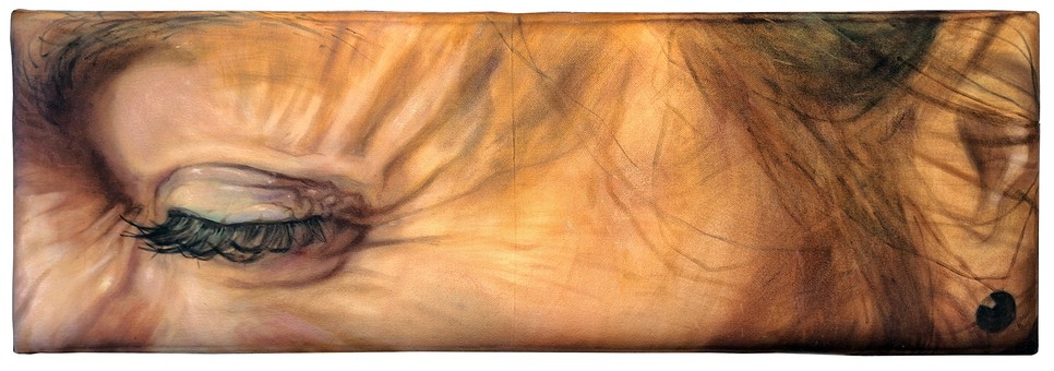 Könyv Kata: Részben egész, puha képek