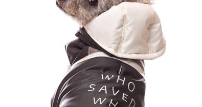 A háromlábú, örökbefogadott kutyus kollekciója még több állat életét mentheti meg