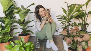 Tanuld meg kijelölni a saját határaidat a feng shui segítségével