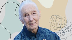 Mit tanulhatunk 2025-ben Jane Goodalltól? Többet, mint hinnéd!