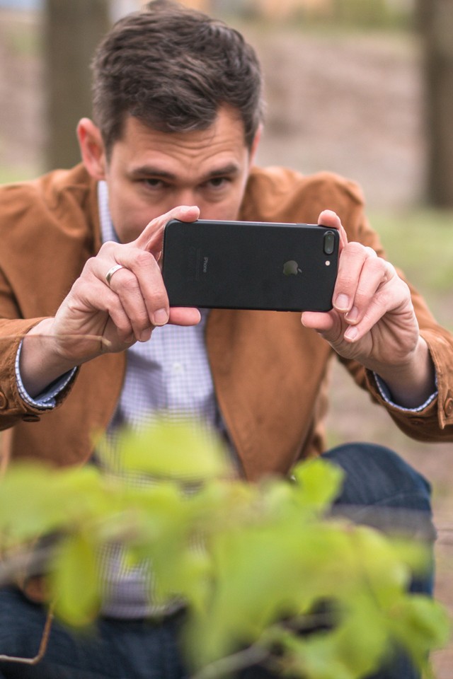 Csavard fel a mobilt a fenyőfára!