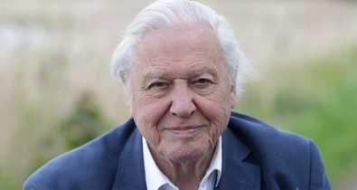 10 fotó a fiatal David Attenborough természettudósról, aki miatt sokkal jobb hely lett ez a világ