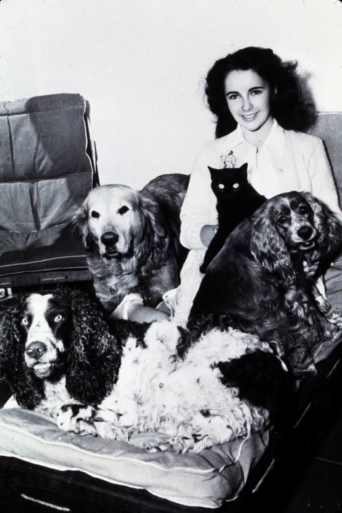 1945-ben a tizenéves Elizabeth Taylorról, kedvenc kutyái és egy fekete macska társaságában. A sztárság küszöbén álló lány itt még egyszerűen csak boldog – úgy, ahogy egy állatok között nevető kamasz lehet.