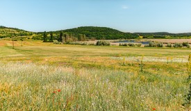 A Tihanyi-félsziget tele van rejtett csodákkal