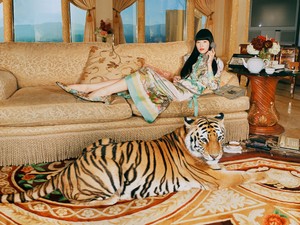 2022 a Tigris éve, ilyen trendeket hoz a lakberendezésben