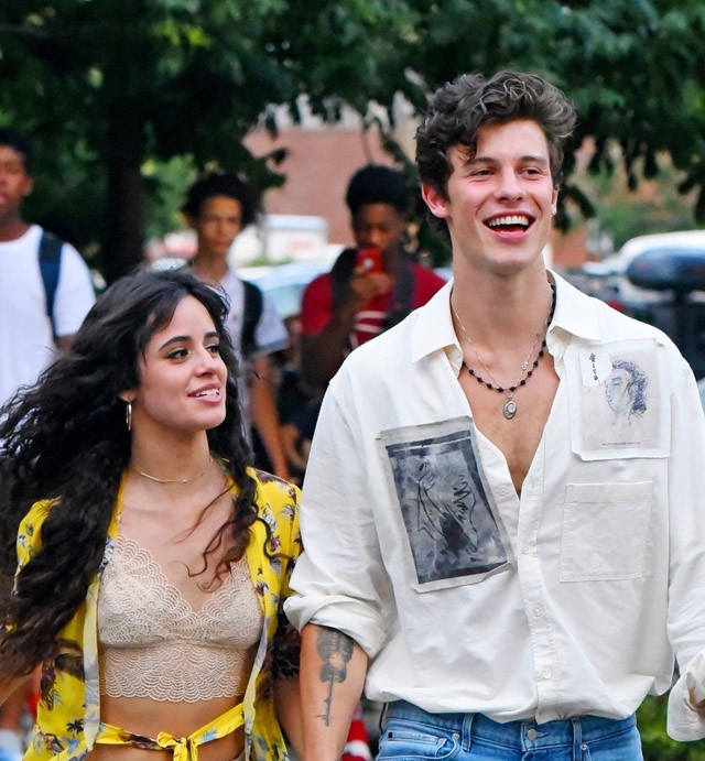 Camila Cabello Shawn Mendes