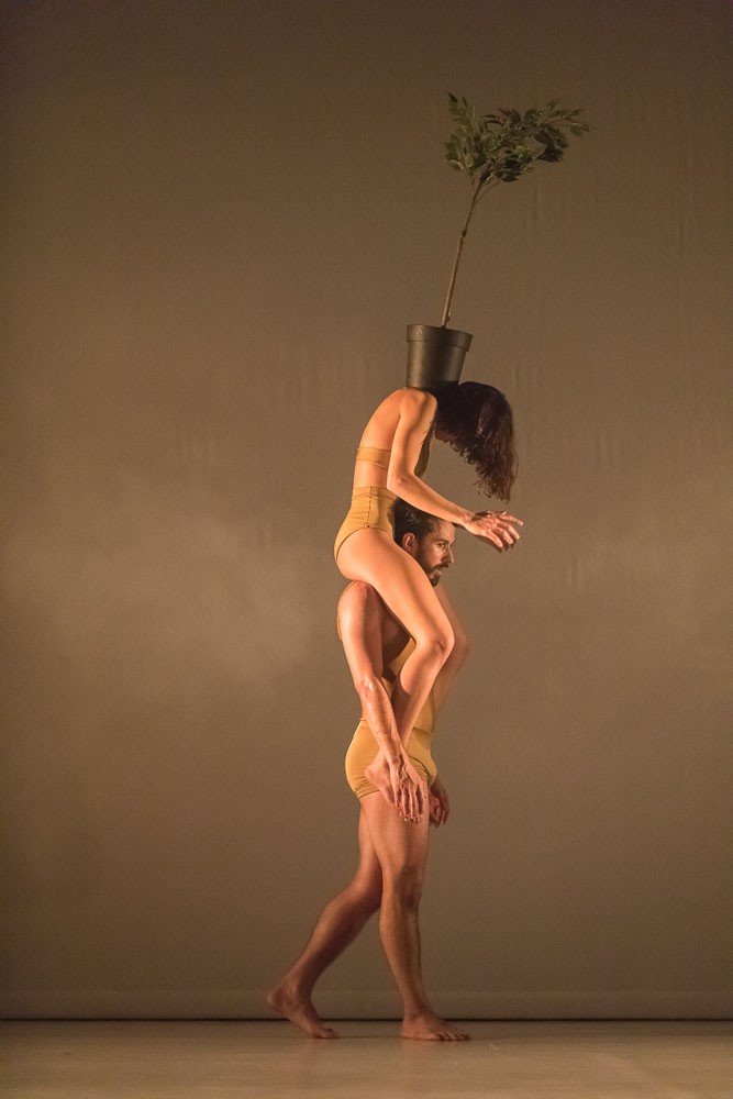 Duda Éva Társulatot régóta foglalkoztatja a klímaválság, a környezetvédelem, a jövő és az emberi felelősség kérdése. Tagjai elhivatottak az ökológiai lábnyomuk csökkentésében