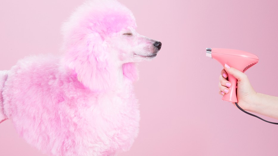 Ezt a hibát mindannyian elkövetjük hajszárítás során pedig nagyon nem kellene 