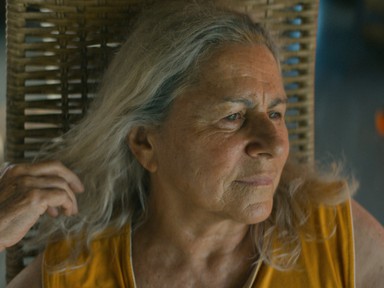 Az utóbbi évek legjobb brazil filmjét Gabriel García Marquez mágikus realizmusa hatja át