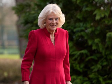 Kamilla királyné koronája maga lesz a tökély, íme a fotó