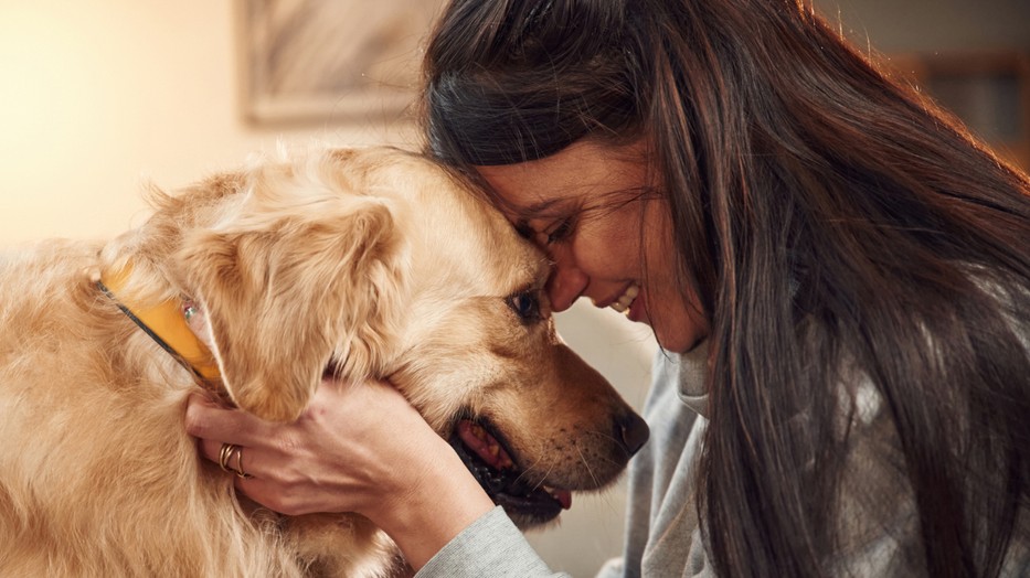 Íme 5 dolog, ami miatt sokkal boldogabb az életed, ha kutyát tartasz
