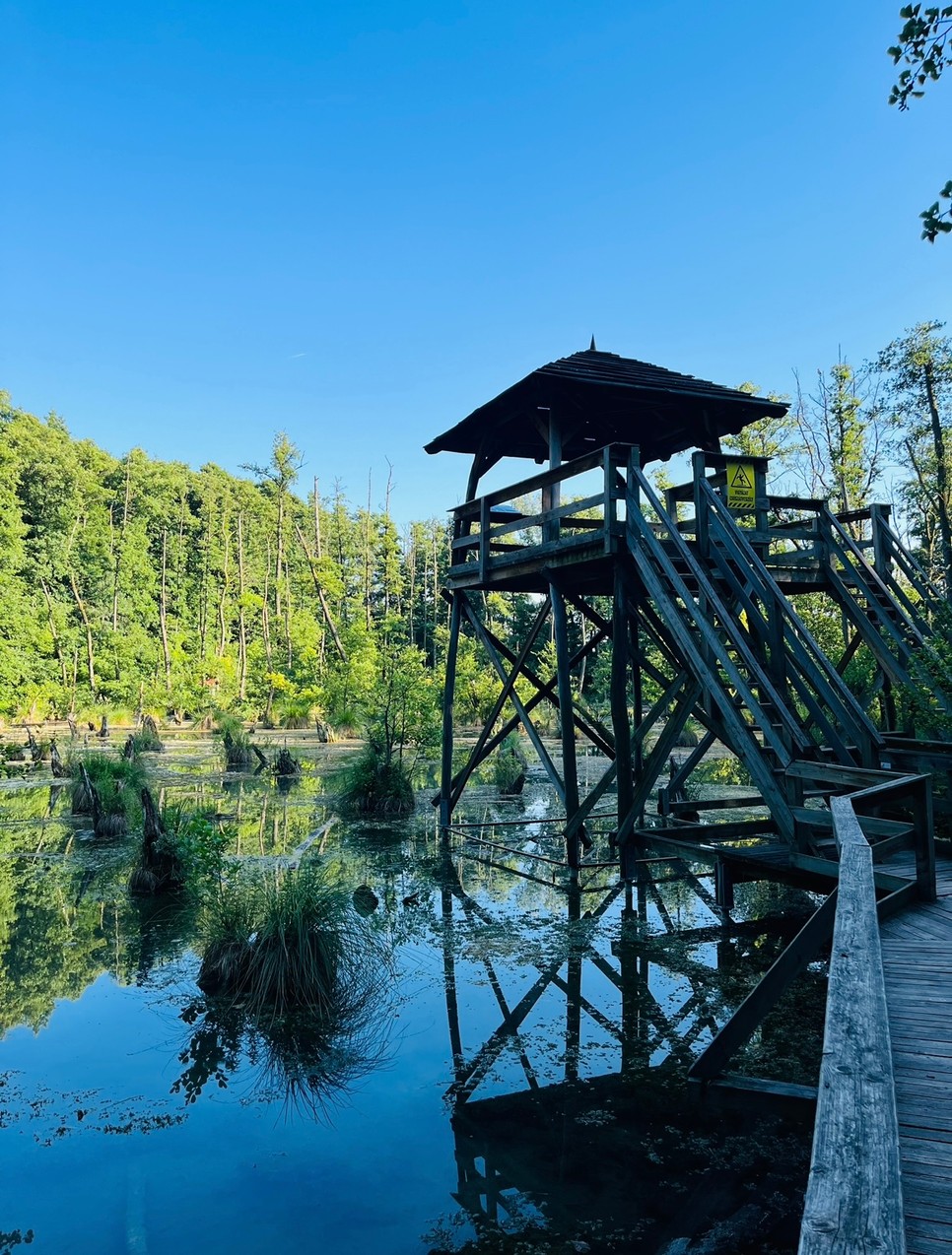 Az ökoturisztikai látványosság csupán 1,5 km hosszú, ám érdemes több időt szentelni rá, és élvezni a csendet