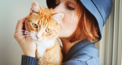 Kvíz: 8 kérdés, amire minden macskatartónak illik helyesen válaszolnia