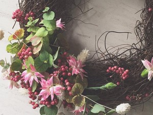 Imádod a növényeket? Akkor mindenképpen csekkold le ezt a 8 Insta-profilt!