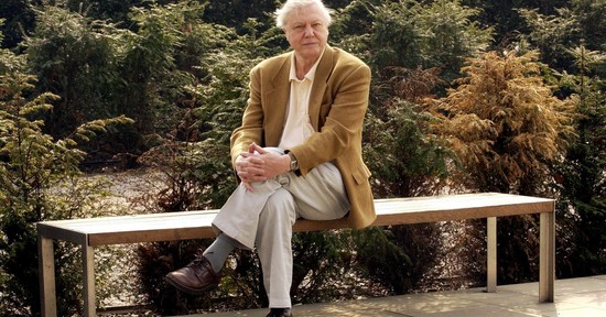 Az amatőr természetbúvártól Sir David Attenborough-ig: ők a televíziós ismeretterjesztés nagyágyúi