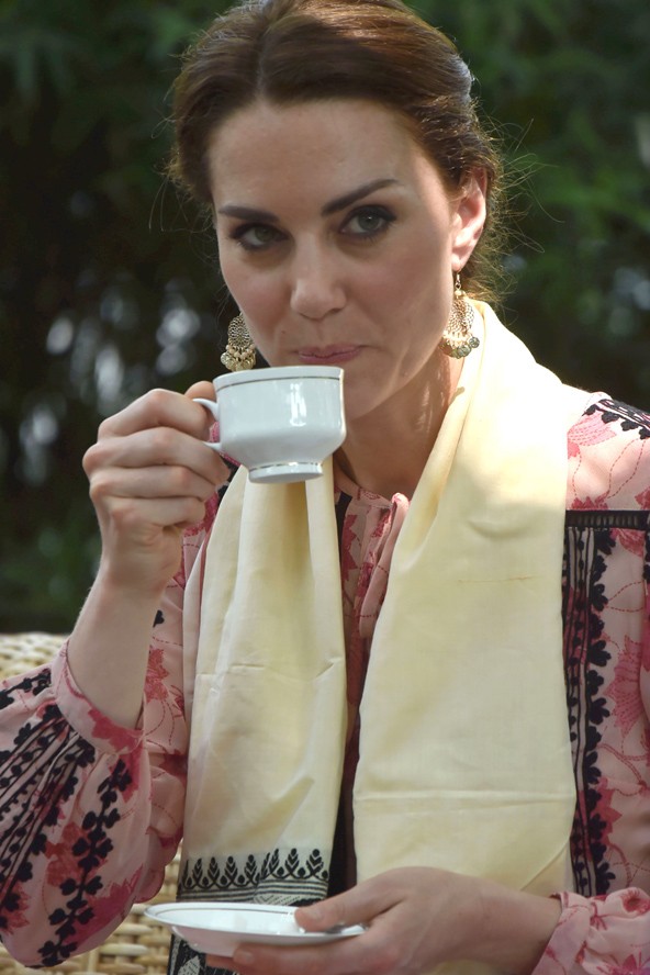 kate middleton, vilmos herceg, turné, india, indiai, bébi elefánt, orrszarvú