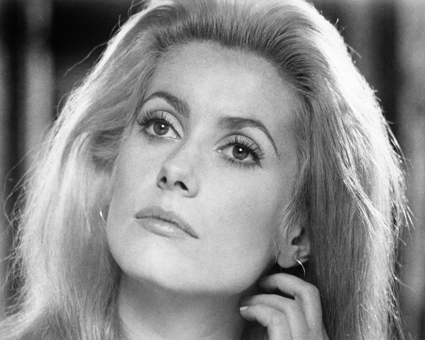  Catherine Deneuve