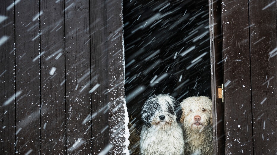 Globális felmelegedés: A téli hidegrekordok eltűnnek, a melegrekordokból egyre több lesz