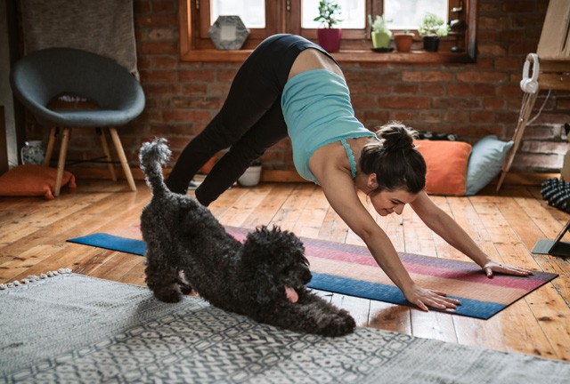 Nem mozdulok ki otthonról, de muszáj mozogni: részt vettem életem első online jógaóráján