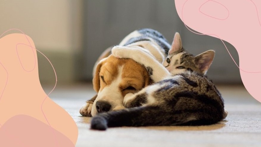 Nagyobb probléma, mint gondolnád, ha nem alszol jól a párod mellett: ezt teheted