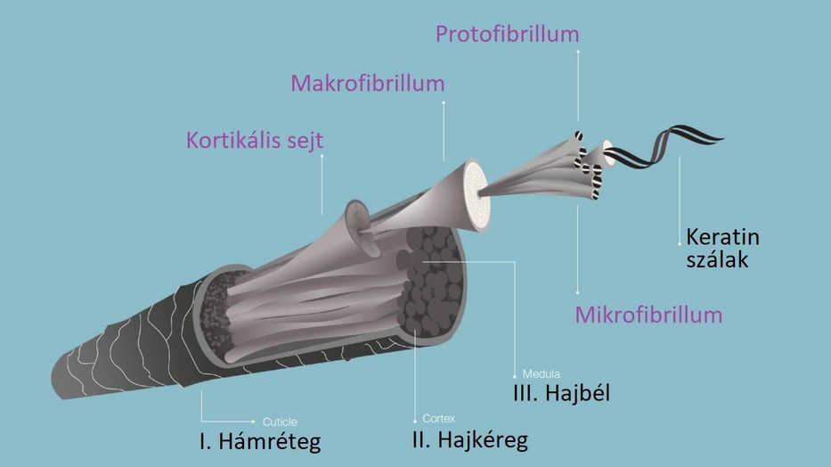 A keratin titkai: Hogyan hozd vissza hajad egészségét és ragyogását!