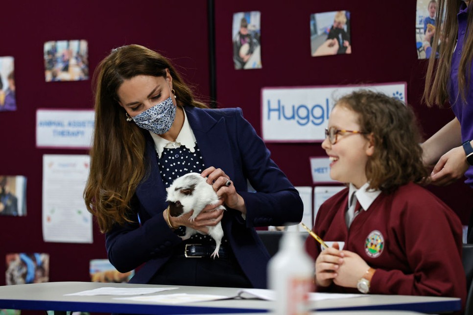 De talán a tengerimalac nyerte el a leginkább a tetszését