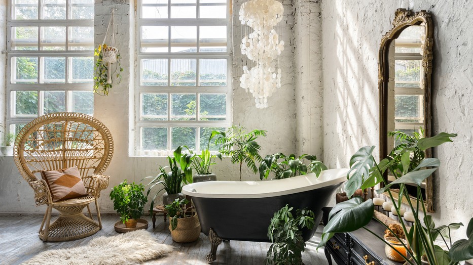 Tudtad, hogy néhány szobanövény kifejezetten a fürdőszobában érzi jól magát?