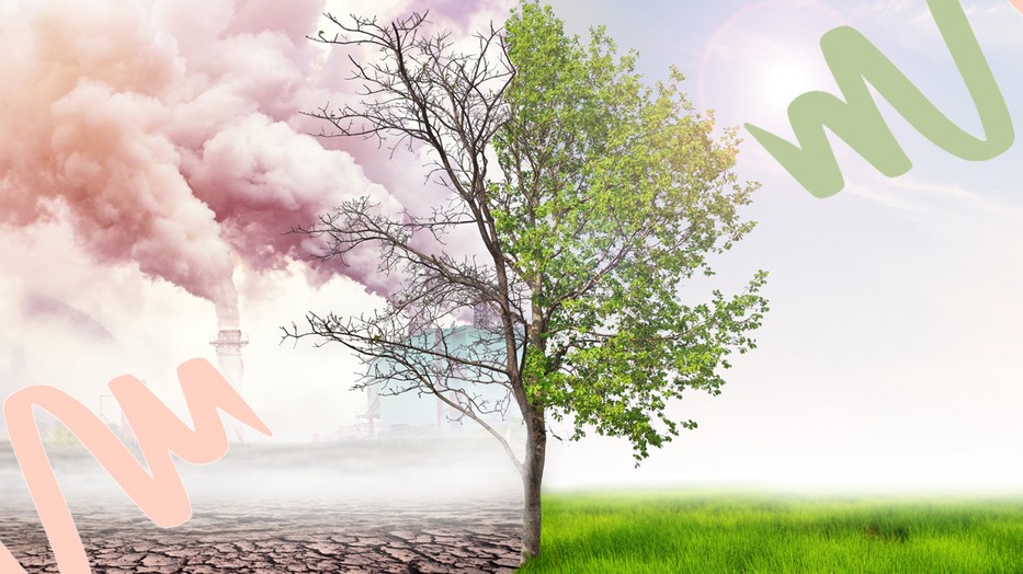 50 nappal hosszabb a nyár, mint a hetvenes években