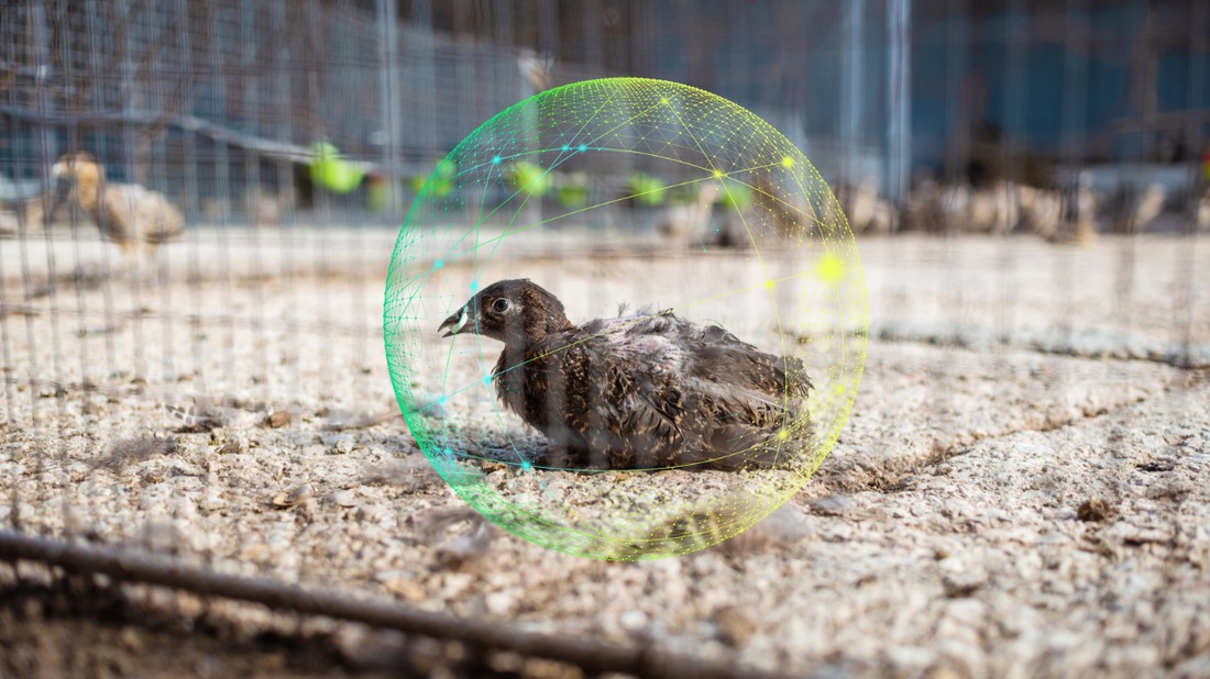 Az agrárinformatika még viszonylag új tudományterület