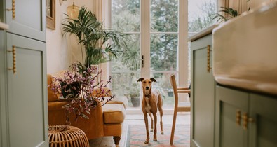 5 gyakori hiba, amitől olcsónak tűnhet az otthonod a lakberendezők szerint