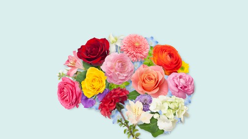 Egy magyar pszichológus 4 módszere, amivel évek óta képes visszaszerezni a mentális energiáját