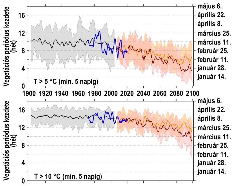 2. ábra: A hidegtűrő (fent) és a melegigényes (lent) növények vegetációs időszakának kezdetei Magyarországon az 1971-2020 időszak megfigyelései (kék), valamint az 1900-2005 időszakban, historikus kényszerekkel szimulált (szürke), illetve az optimistább RCP4.5 (narancs) és a pesszimista RCP8.5 (piros) forgatókönyvet 2006-2100 időszakban követő jövőbeli szimulációk alapján. A szürke sáv 9 globális szimulációt, míg a narancs és a piros sáv 6-6 regionális szimulációt tartalmaz, a vastagított vonalak a szimulációk átlagát jelölik. A hidegtűrő növényeknél a szürke vonal trendje nem szignifikáns, a kék vonalé -3,7 nap/évtized, míg a narancs és a piros vonal trendje -2,1 nap/évtized, illetve -3,8 nap/évtized. A melegigényes növényeknél a szürke és kék vonal trendje nem szignifikáns, míg a narancs és a piros vonal trendje -1,3 nap/évtized, illetve -3 nap/évtized. A szerzők ábrája.