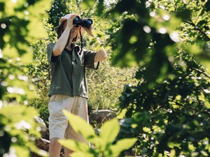 Jane Goodall kilencvenedik születésnapja magyar divatkollekciót ihletett