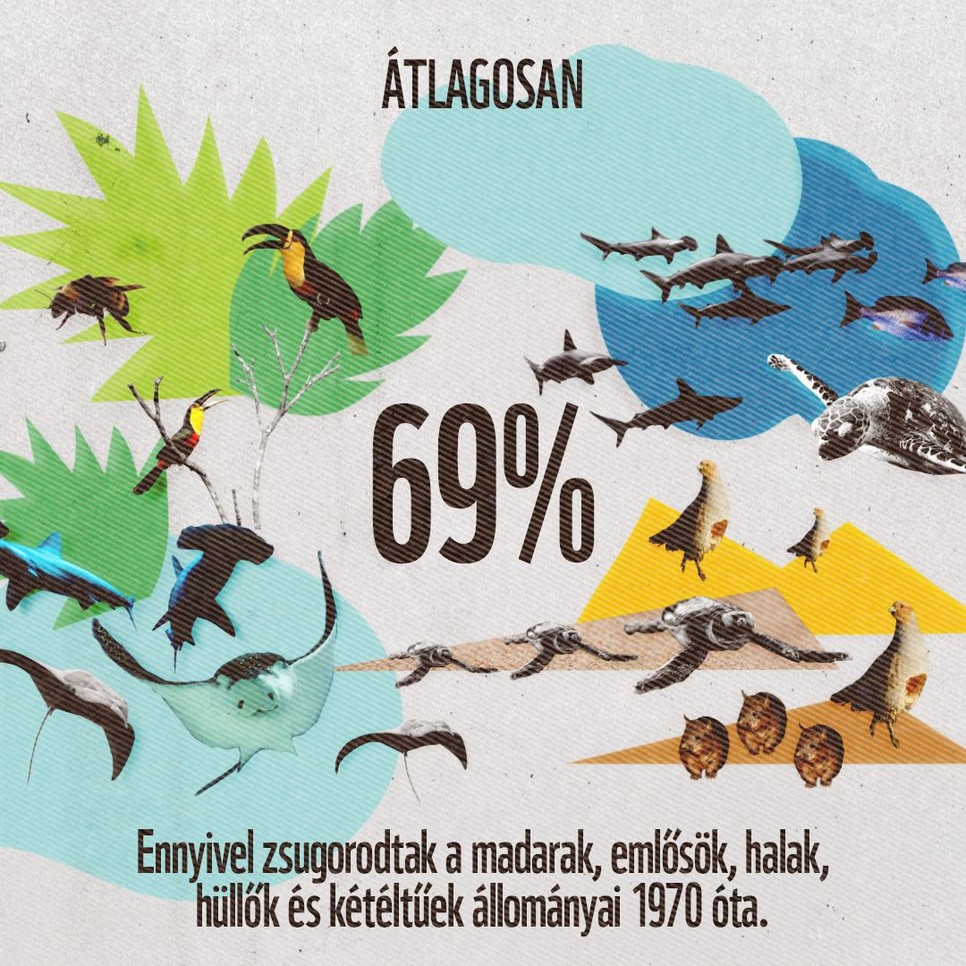 A WWF Élő bolygó jelentése kötelező olvasmány mindenkinek, akit érdekel a jövőnk