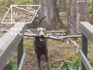 Kreativitásod segítségével megoldasz ma egy régi problémát - Egymondatos horoszkóp - szeptember 5. csütörtök